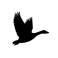 OCA architects barcelona logo - Similar company to Bt-Solutions