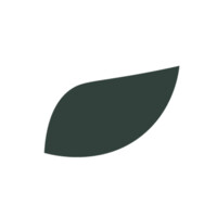 botani logo - Similar company to Ask Jerry