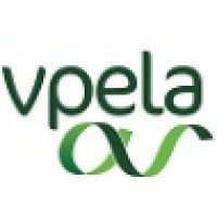 VPELA logo - Similar company to Onemilegrid