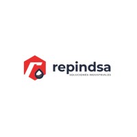 Repindsa RR.HH logo - Similar company to Kryion Mexico
