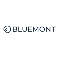 BLUEMONT BV logo - Similar company to Freelance / Contract