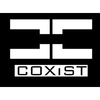 Co(X)ist logo - Similar company to Pc Help It Services