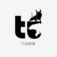 TradeU NG logo - Similar company to Tradeu