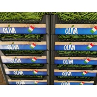 Ortofrutta Oliva Michele logo - Similar company to Eccher Ortofrutta