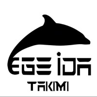 Ege İDA logo - Similar company to Novadrive