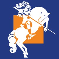 DSW logo - Similar company to Mars Learning Platform