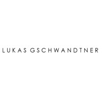 Lukas Gschwandtner logo - Similar company to Zonkey Boot
