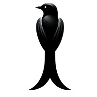 Drongo logo - Similar company to Automated Partners
