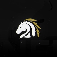 Kansas City Pioneers logo - Similar company to Fitspi