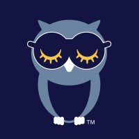 OwlzzZ logo - Similar company to Valex Solutions