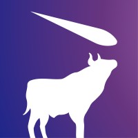 mootion.graphics logo - Similar company to Gamax