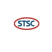 Shanghai T-Solutions Co., Ltd