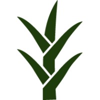Saltgrass Ventures logo - Similar company to Infinity Capital Ventures