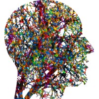 Steinbeis Center for Medical Systems Biology logo - Similar company to Gene-Test Bioinformatics Solutions Gmbh