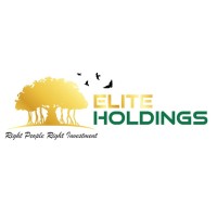 Elite Holdings logo - Similar company to Core Innovations