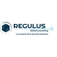 REGULUS Global ConsultingG logo - Similar company to Hero Defense Systems