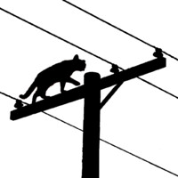 Catalyst Cooperative logo - Similar company to Gridlab