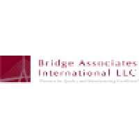 Bridge Associates International
