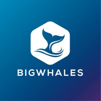BigWhales logo - Similar company to Bigwhale Data