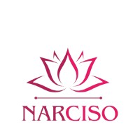 Narciso srl logo - Similar company to As Instruments