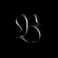 Basile Fournier Studio logo - Similar company to Joycgi