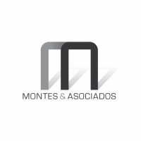 Montes & Asociados logo - Similar company to Arias & Bufarini - Consultores De Empresas