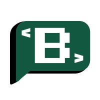 Bitz Studio logo - Similar company to Codesaaz