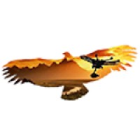 Condor Aerial Solutions