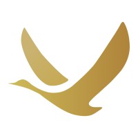 GNG Global logo - Similar company to Ads Advisors