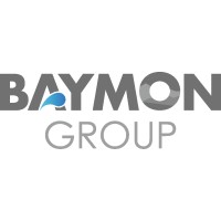 BAYMON GROUP logo - Similar company to Xseedwealth