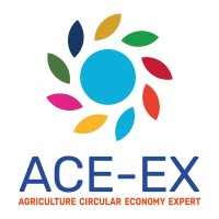 Ace-ex Project logo - Similar company to Atex Workshop B.V.