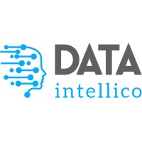 Dataintellico LLC logo - Similar company to Multidimensional Leaders