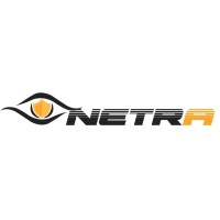 Netra IT logo - Similar company to Audertec Solutions
