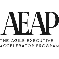 Agile Executive Accelerator Program (AEAP) logo - Similar company to Agile Coach