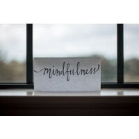 Mindful Group Practice, LLC logo - Similar company to Libre Therapy Center
