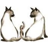 RESTO THAÏ logo - Similar company to Stpi Co., Ltd