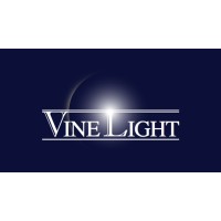 VineLight Partners, L.L.C. logo - Similar company to Securent