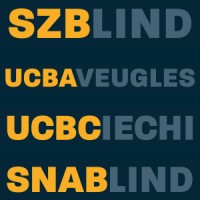 SNABLIND Swiss National Association of and for the Blind logo - Similar company to Femmes Protestantes