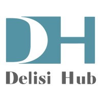 Delisi Hub logo - Similar company to Virtual Story