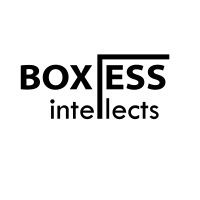 Boxless Intellects logo - Similar company to Code Voyagers