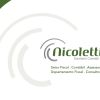 Escritório Contábil Nicoletti logo - Similar company to Maximos Soluções Empresariais