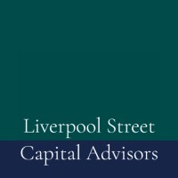 Liverpool Street Capital Advisors logo - Similar company to Trigone Medical