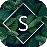 Sugarless logo - Similar company to Dexafit Boston