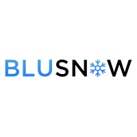 BluSnow logo - Similar company to Fastlane Solutions (Vivanti Consulting)