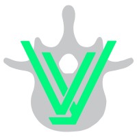 VySpine logo - Similar company to Seeklabs