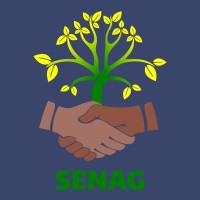 SENAG logo - Similar company to Talllasolution
