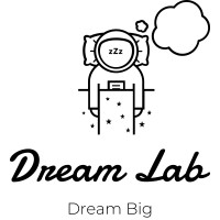 Dream Lab Consulting logo - Similar company to Dreams Lab