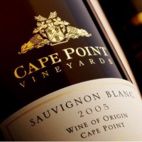 Cape Point Vineyards logo - Similar company to Tandem Sa