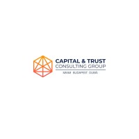 Capital & Trust Consulting Group logo - Similar company to Tnh Technology
