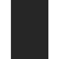 FCGS logo - Similar company to Fcgs